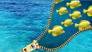 kaufmotiv und wann kaufen Kunden, Schwarmeffekt Vertrieb Vertriebspsychologie